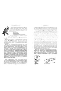 Сетон-Томпсон Э. Рольф в лесах. Лесные рассказы (с илл.)