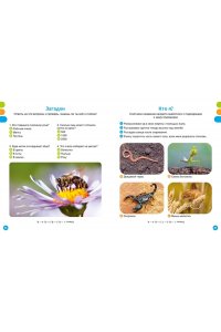 Дельфур Ж., Бомон Э. Животные-малютки