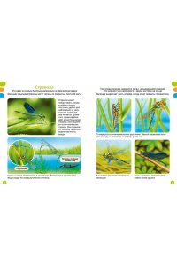 Дельфур Ж., Бомон Э. Животные-малютки