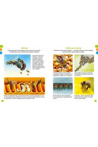 Дельфур Ж., Бомон Э. Животные-малютки