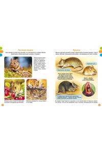 Дельфур Ж., Бомон Э. Животные-малютки