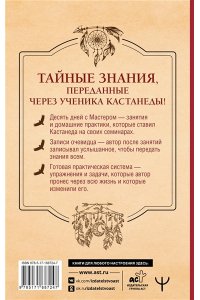 Бирсави Яков Бен Продвижение к Силе. Путь видящих. Тайные знания, переданные через ученика Кастанеды