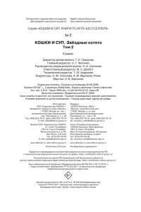 Хи Ё Кошки и суп. Звёздные котята. Том 2