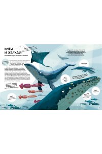 Tecnoscienza . Вместе лучше! Командная работа в мире животных