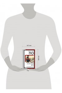 По Э. Золотой жук