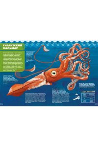 Лаваньо Э., Мойетта А. Монстры морей и океанов. Энциклопедия подводных чудовищ