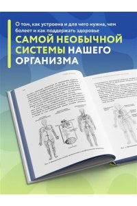Ивашков В.Ю. Все о лимфе. Как правильно заботиться о здоровье лимфатической системы и почему это важно (закрашенный обрез)
