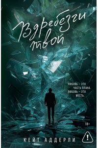 Аддерли К. Вдребезги твой