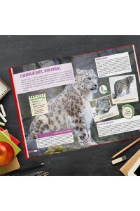 Красная книга России: все о жизни дикой природы