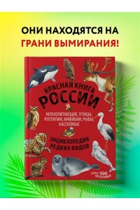 Красная книга России: все о жизни дикой природы