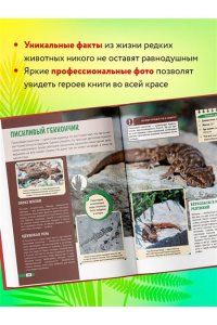 Красная книга России: все о жизни дикой природы