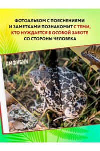 Красная книга России: все о жизни дикой природы