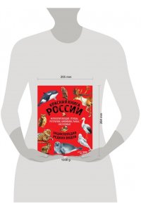 Красная книга России: все о жизни дикой природы