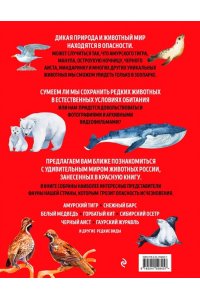 Красная книга России: все о жизни дикой природы