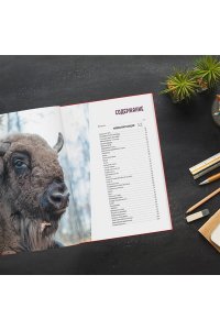 Красная книга России: все о жизни дикой природы