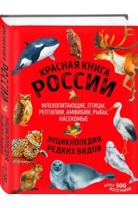 Красная книга России: все о жизни дикой природы