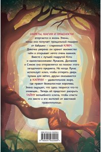 Д`Антиокия М. Каприя. Тайна ключа