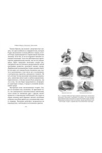 Манкузо С., Виола А. Фитополис. Город жизни