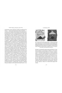 Манкузо С., Виола А. Фитополис. Город жизни