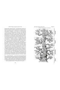 Манкузо С., Виола А. Фитополис. Город жизни