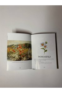 <не указано> Цветы в искусстве. Воспевание красоты