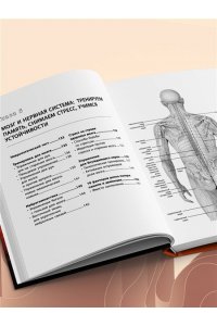 Шестова О.Л. Энциклопедия упражнений долгожителя: для мозга, тела и лица