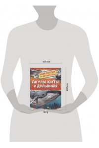 Акулы, киты и дельфины. Энциклопедия для детского сада