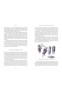 Муравьева Т. Мифы Дальнего Востока. От хозяина тайги Дуэнте и шаманки Кытны до духов вулканов и мухоморных девушек