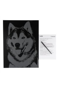 ГРАВЮРА СКРЕТЧИНГ 30*40СМ ЖИВОТНЫЕ 