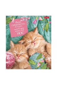 ТЕТР 40 КЛЕТ ХАТБЕР БЕЗ КОТА ЖИЗНЬ НЕ ТА 40Т5В1 (5058)