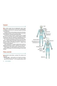 Вагнер К. ТЕЛО ЧЕЛОВЕКА. Как устроен наш организм