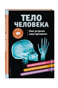 Вагнер К. ТЕЛО ЧЕЛОВЕКА. Как устроен наш организм