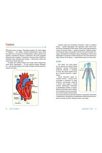Вагнер К. ТЕЛО ЧЕЛОВЕКА. Как устроен наш организм