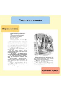 Тимур и его команда