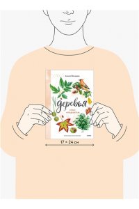 Бондарев А. Деревья. Атлас-определитель