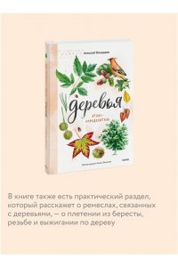 Бондарев А. Деревья. Атлас-определитель