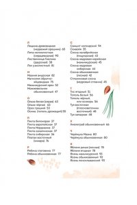 Бондарев А. Деревья. Атлас-определитель