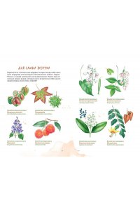 Бондарев А. Деревья. Атлас-определитель