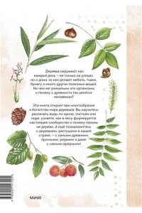 Бондарев А. Деревья. Атлас-определитель