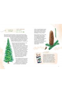 Бондарев А. Деревья. Атлас-определитель