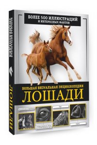 Спектор А.А. Лошади. Большая визуальная энциклопедия