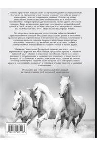 Спектор А.А. Лошади. Большая визуальная энциклопедия
