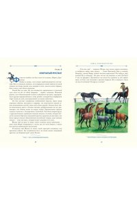 Рид Т. Майн Всадник без головы (ил. Н. Устинова)