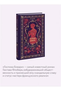 Гюстав Флобер Госпожа Бовари. Вечные истории