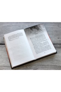 Болд Э. Тени. Похищенные души (#2)