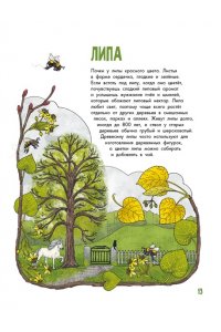 Янссон Э. Деревья