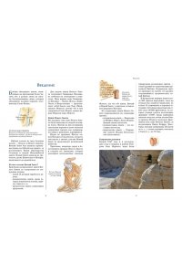 Библия для детей. Ветхий и Новый Завет с иллюстрациями и комментариями