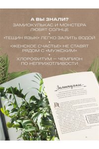 Кушнир М.А. Секреты комнатных джунглей. О чем молчат растения и как понять, что им нужно на самом деле