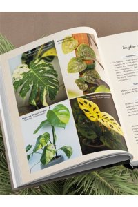Кушнир М.А. Секреты комнатных джунглей. О чем молчат растения и как понять, что им нужно на самом деле