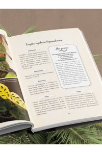 Кушнир М.А. Секреты комнатных джунглей. О чем молчат растения и как понять, что им нужно на самом деле